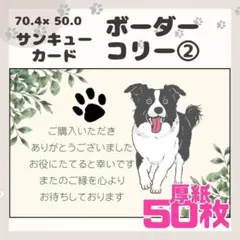 【ボーダーコリー②】50枚 サンキューカード メッセージカード 手書き風 厚紙