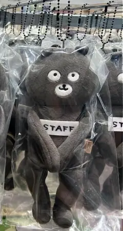 ナガノキャラクターズ　握手会のスタッフマスコット　ナガノマーケット