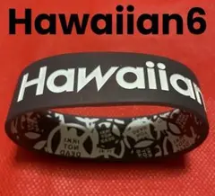 Hawaiian6 ラバーバンド❶dustbox※10-FEET※京都大作戦