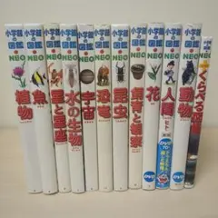 小学館の図鑑NEO セット　まとめ売り　DVD付き