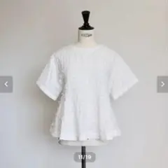 新品　ジプソフィア　Gypsophila パピヨンT