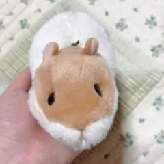 【本日発送可能◎】potte ハムスター ぬいぐるみ サンアロー【お値下げ◎】