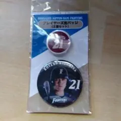 北海道日本ハムファイターズ 清宮幸太郎 缶バッジセット #21