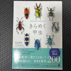 きらめく甲虫 = BRILLIANT BEETLES