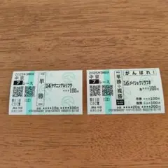 中京　外れ馬券 ヤマニンアルリフラ メイショウソラフネ
