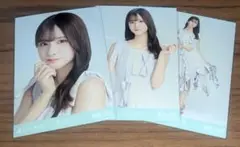 乃木坂46 生写真 車道側 菅原咲月 コンプ