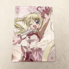 ぴちぴちピッチ　TV限定A5クリアファイル 七海るちあ