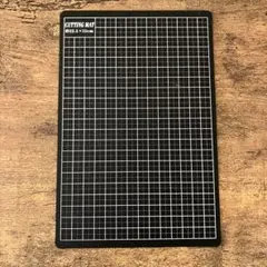 Item thumbnail for item 32fa65aa-7cda-411c-bacb-b2ad002a5500