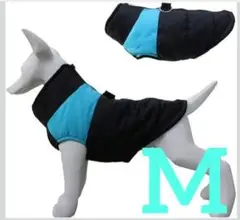 Item thumbnail for item 9e7967e5-fe58-45a3-8abb-d0daa77285b1