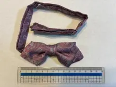 Item thumbnail for item 614329d2-5d77-450f-9faf-2e2060fbebb8