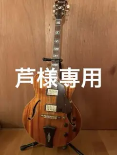 2025年最新】Ibanez AF105の人気アイテム - メルカリ