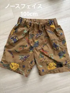 THE NORTH FACE ノベルティクラスファイブショートパンツ