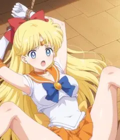 A4 ポスター　セーラーヴィーナス　ファンアート　美少女　美女　アニメ　高画質