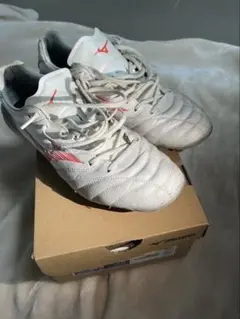 Mizunoモナルシーダ NEO 26.5cm