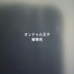 みなみ鈴 ラストグラビア DVD