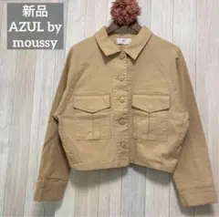 Item thumbnail for item d30eb5dc-8a77-4212-b5d4-44203695fa5e