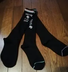 Item thumbnail for item 13c44792-4b8e-4dd5-9bb3-1375d06846c1