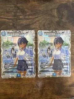 斬隠蒼頭龍バイケン　2枚　キャラプレミアムトレジャー