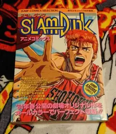 Slam dunk アニメコミックス