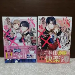 ドS騎士団長のご奉仕メイドに任命されましたが、私××なんですけど!?
