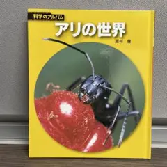 アリの世界