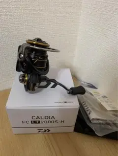 ダイワ 21カルディアFCLT2000S-H ルビアス セオリー