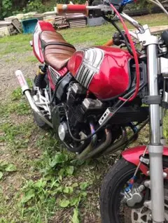 m61524527470_1.jpg?1725450335