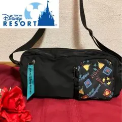 【美品】東京ディズニーリゾート　ショルダーバッグ　ブラック　ミッキー　黒