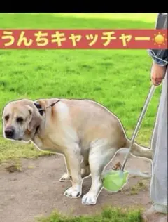 Item thumbnail for item 1b4771ef-64b0-4b26-8e93-49e795f637ba