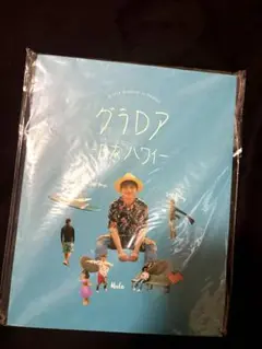 BIGBANG D-LITE テソン　グラDア　写真集
