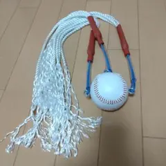 2025年最新】ロープトレーナー 野球の人気アイテム - メルカリ
