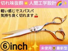 切れ味抜群カットシザー美容師プロ用ハサミトリマー良ルックス満点気持ち良く切れます