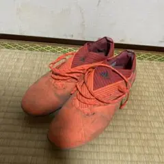 アディダスネメシス