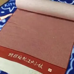 Item thumbnail for item 23e608a5-466e-48a0-b6d7-c384a5a72116