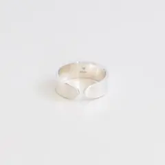 UNKNOWN. U040 " BOARD1 " RING / SILVER