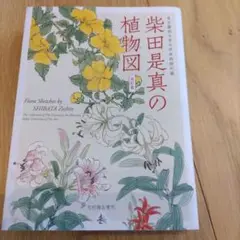 柴田是真の植物図 東京藝術大学大学美術館所蔵 - メルカリ