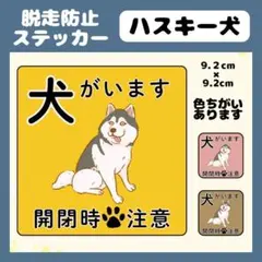 【ハスキー犬】マグネット　飛び出し注意　犬がいます　玄関　注意　脱走防止　屋外