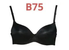 Item thumbnail for item e218f083-450b-4a68-aae0-01a6d6e4a4b3