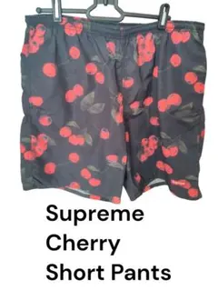 2025年最新】スイムショーツ supremeの人気アイテム - メルカリ