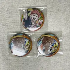 ハイキュー　ファンパーク　コレクション缶バッジ　日向