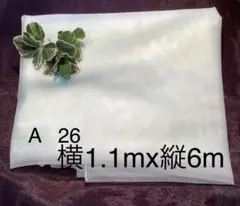 A 26 チュールレース