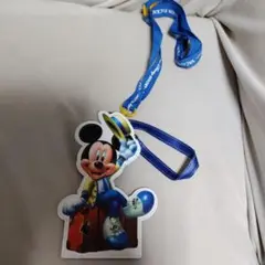 東京ディズニーリゾート　バケーションパッケージ パスケース