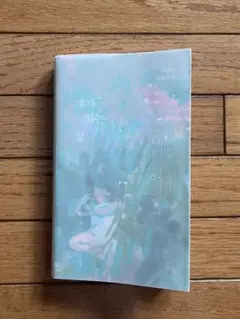[18日まで出品]내가 되는 꿈 최진영 自分になる夢 チェジニョン 韓国語小説