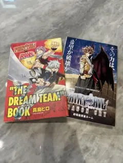 FAIRY TAIL　劇場版原案ネーム　特装版付録付