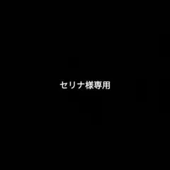 ロエベ　アナグラム ブローチ　小傷あり