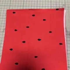すいか柄　赤色　生地　はぎれ