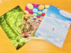 Item thumbnail for item 6ce5068a-61e4-49d9-9018-55c45d3e96ce