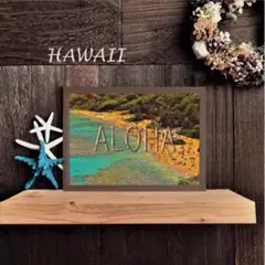 【送料無料】南国の風景☆HAWAII No.522 　フレーム付 　A4サイズ