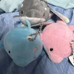 みいるか　ゆるいるか　セット売り