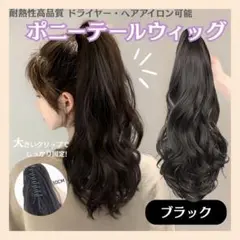 ポニーテール ウィッグ ロング 35cm ブラック エクステ クリップ 黒髪